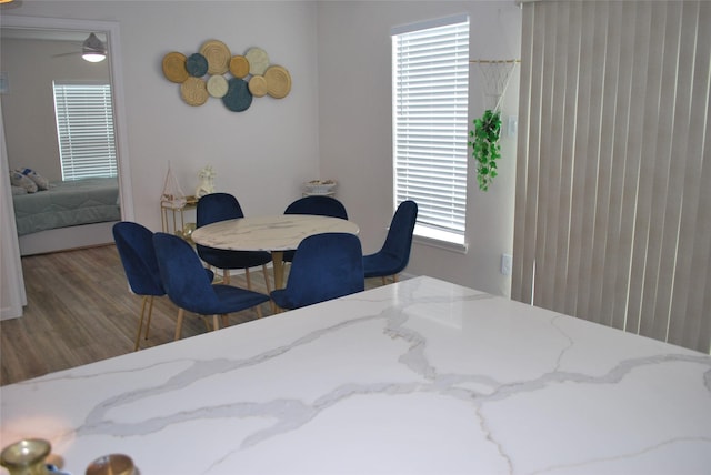 dining room featuring wood finished floors