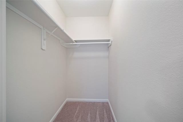 spacious closet with carpet