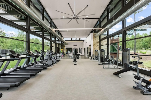 gym featuring an inviting chandelier, a high ceiling, carpet floors, and expansive windows