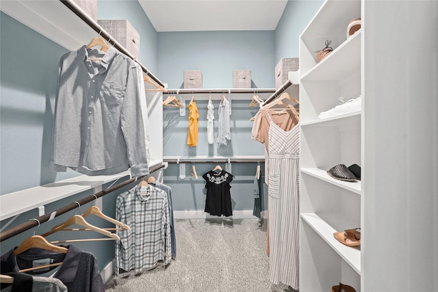 walk in closet featuring carpet floors