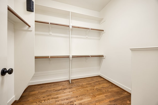 spacious closet featuring wood finished floors