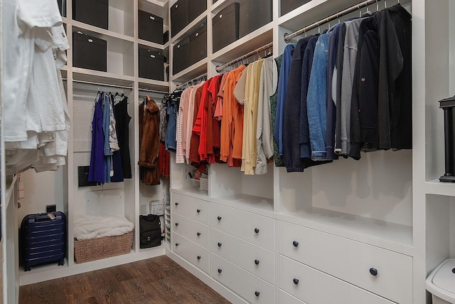 walk in closet with dark wood-style floors