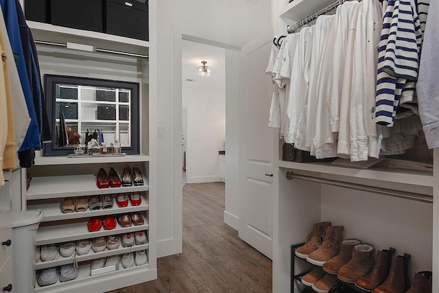 spacious closet featuring dark wood-style flooring