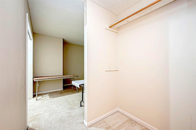 spacious closet featuring carpet floors