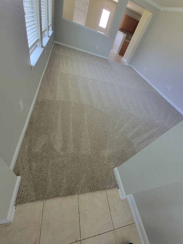 interior space featuring carpet flooring and baseboards