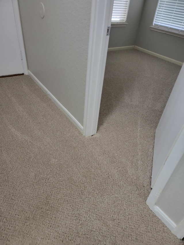 interior details with baseboards and carpet flooring