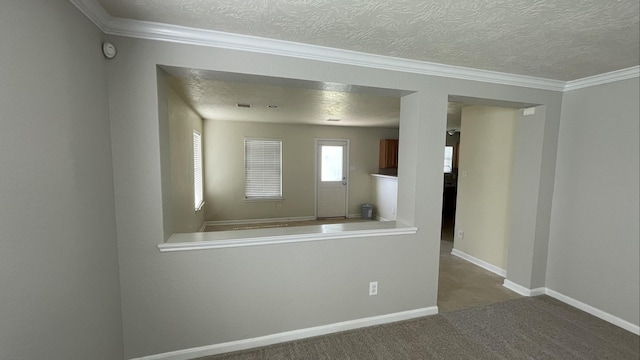 carpeted spare room featuring baseboards, a textured ceiling, and ornamental molding