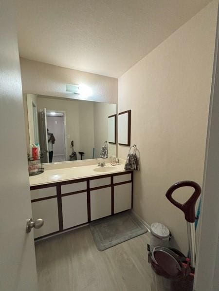 bathroom featuring wood finished floors and vanity