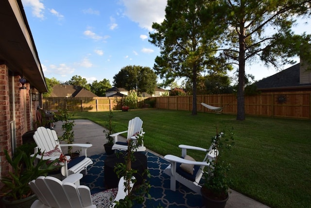 view of yard featuring a fenced backyard and a patio