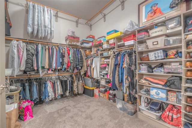 walk in closet with carpet floors