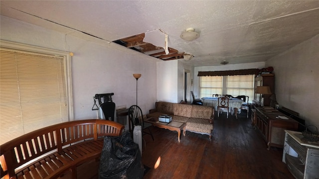 living room with dark wood-type flooring