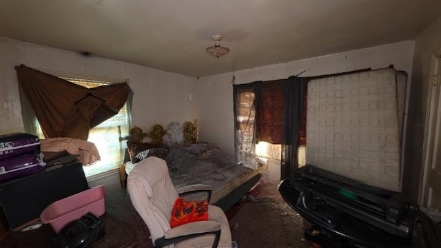 bedroom featuring carpet flooring