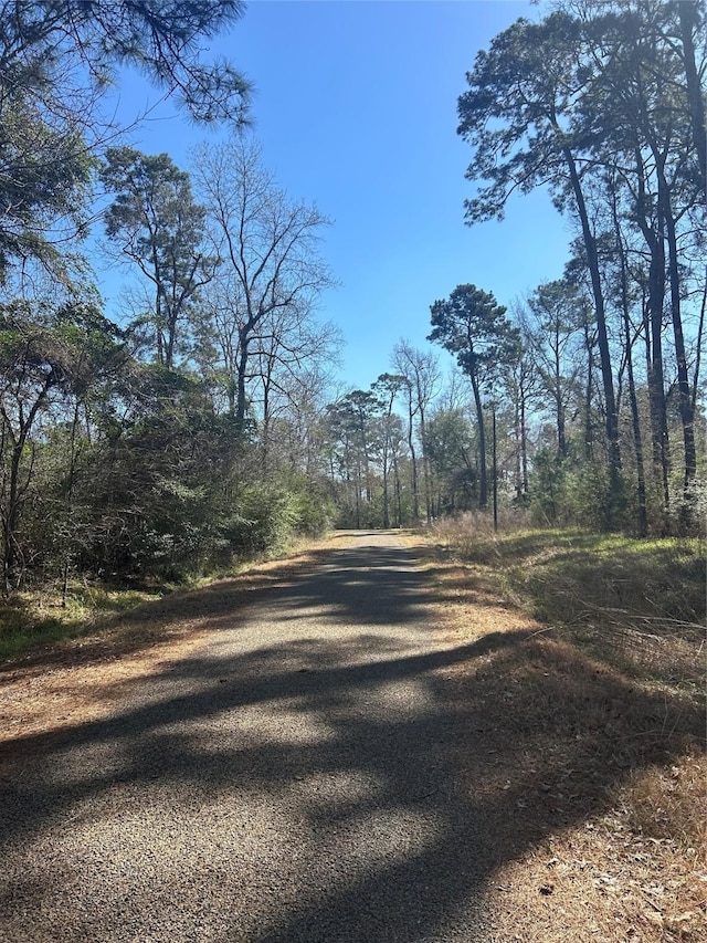 Holly Crst, Livingston TX, 77351 land for sale