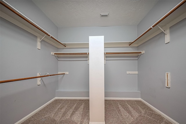 spacious closet with visible vents and carpet floors