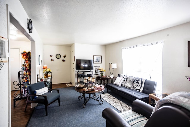 living area with a textured ceiling and wood finished floors