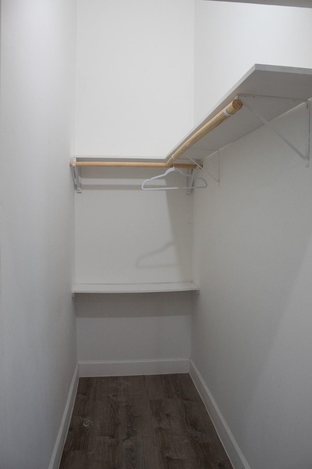 spacious closet featuring dark wood-style flooring