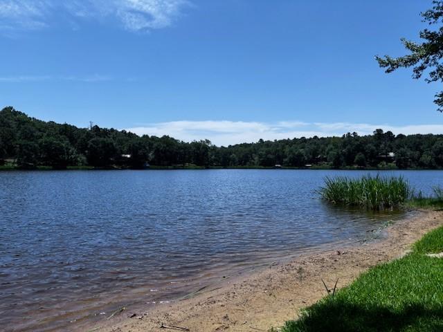 property view of water featuring a forest view