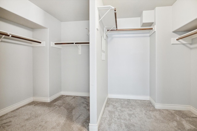 walk in closet with carpet flooring