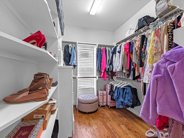 spacious closet featuring wood finished floors