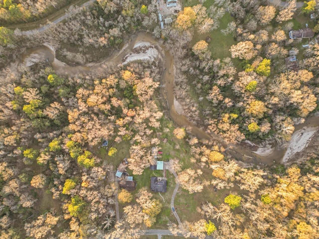 17866 Magnolia Ln, New Caney, TX 77357 - aerial overview of property's location
