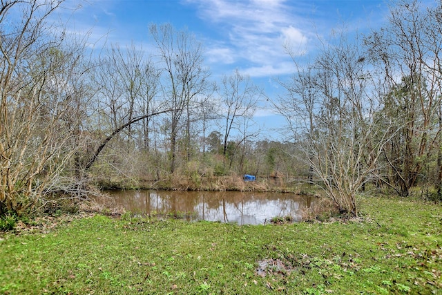 water view