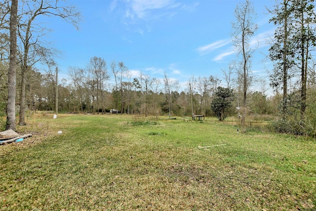 view of yard featuring a view of trees