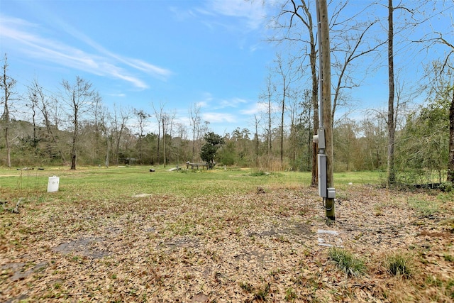 view of yard featuring a view of trees