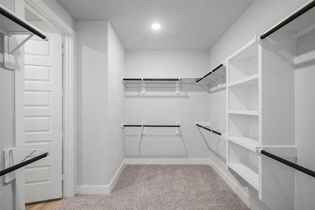 walk in closet featuring carpet