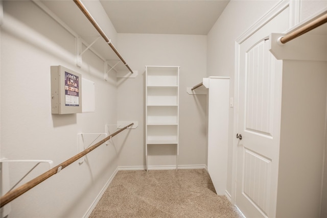 walk in closet featuring light colored carpet