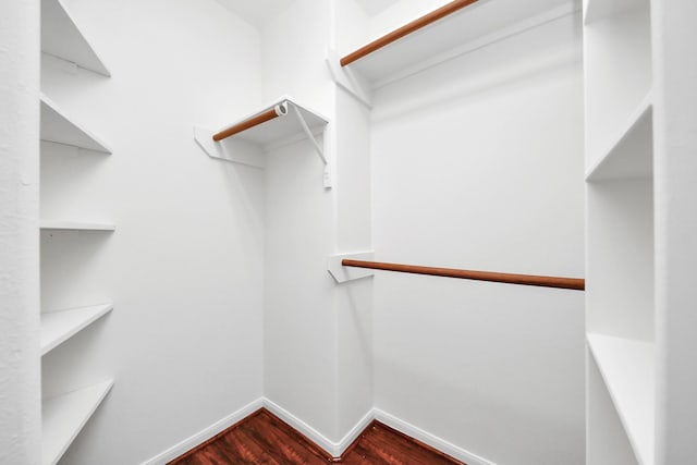 spacious closet featuring dark wood finished floors