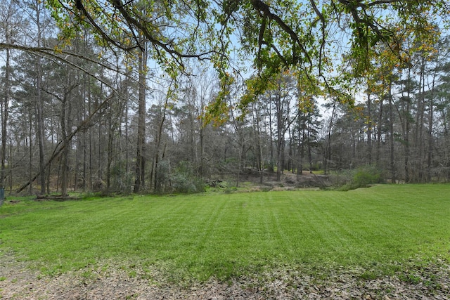 view of yard featuring a view of trees