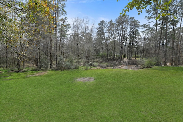 view of yard with a forest view