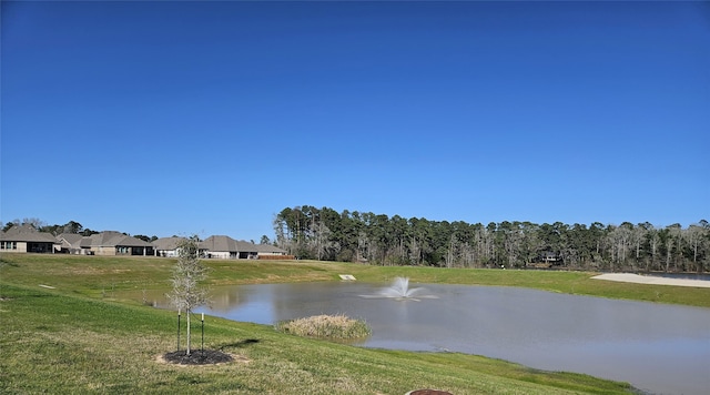 1319 Ivory Fort St, Magnolia, TX 77354 - photo 21