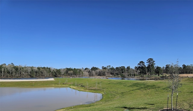 1319 Ivory Fort St, Magnolia, TX 77354 - photo 22