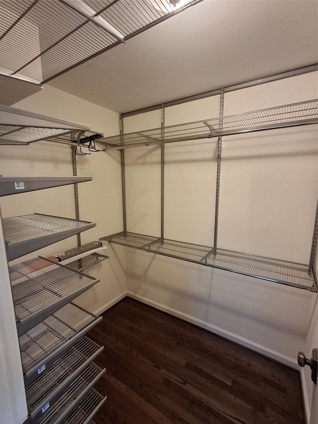 walk in closet featuring dark wood-style floors