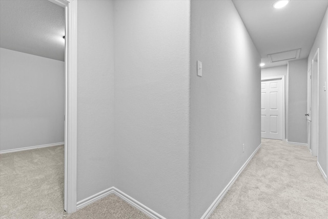 hall featuring baseboards and carpet flooring