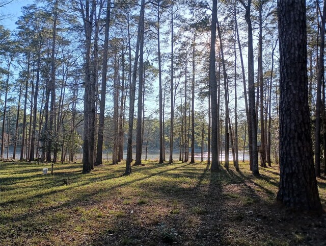 570 Lake Camelot Cir, Woodville, TX 75979