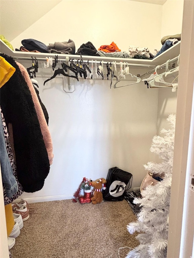 spacious closet with carpet