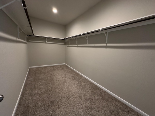 walk in closet featuring carpet floors