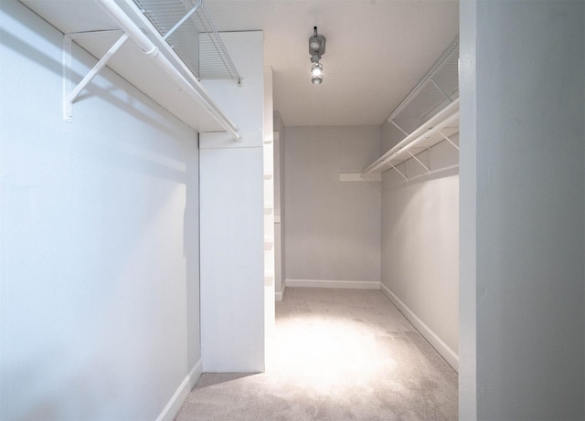 spacious closet featuring carpet