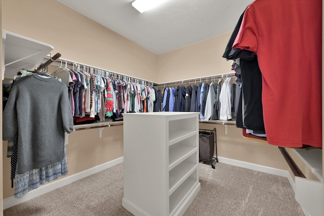 spacious closet featuring carpet floors