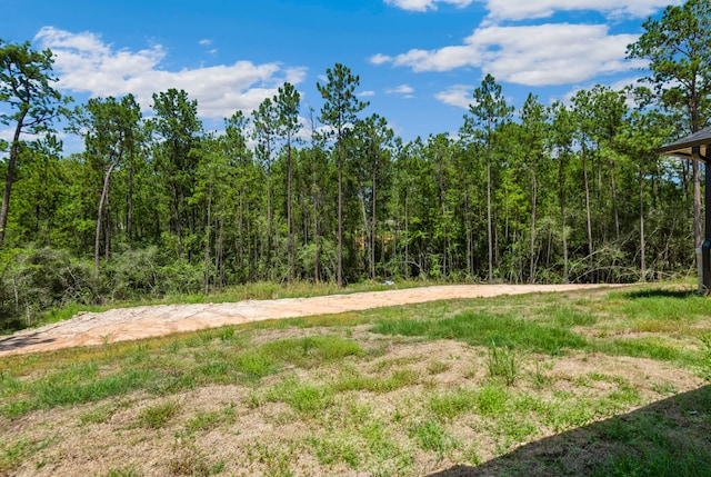 view of yard with a forest view