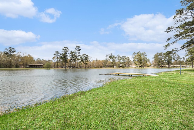 19331 E Lakeshore Dr, Magnolia, TX 77355 - dock featuring a yard and a water view