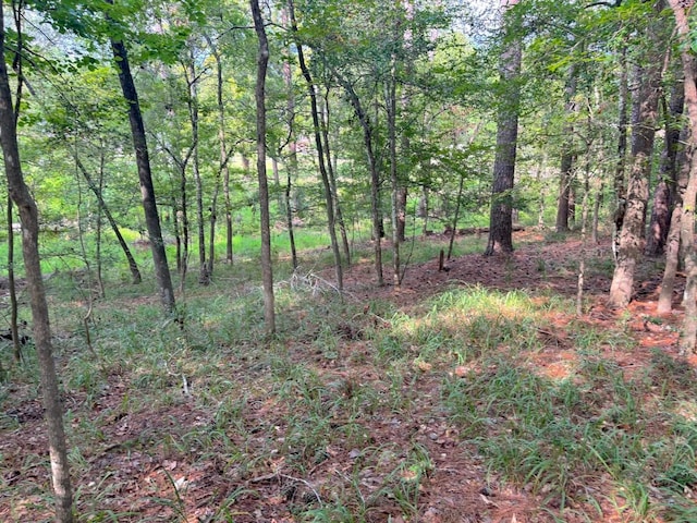 802 Overbrook Dr, Huntsville TX, 77340 land for sale