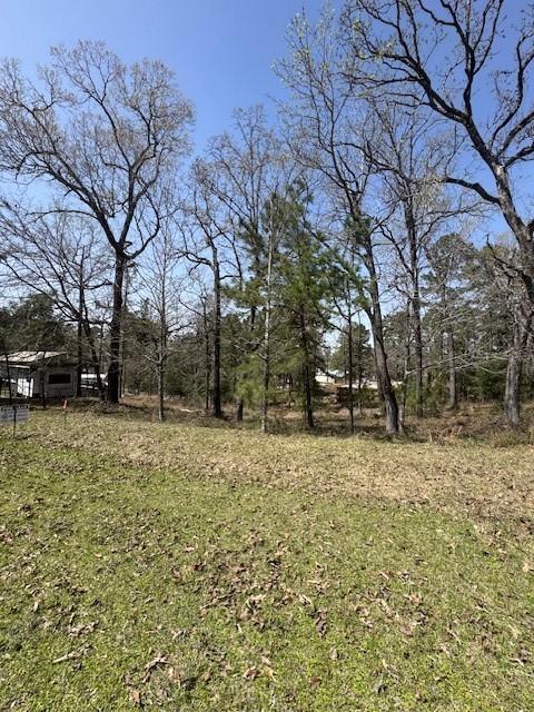 318 Oakwood Ln, Trinity, TX 75862