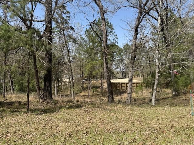 318 Oakwood Ln, Trinity, TX 75862