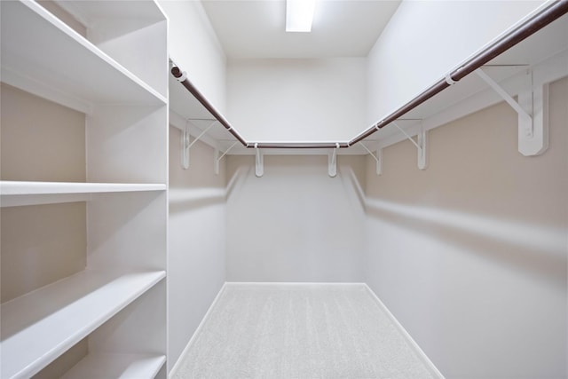 walk in closet featuring carpet flooring