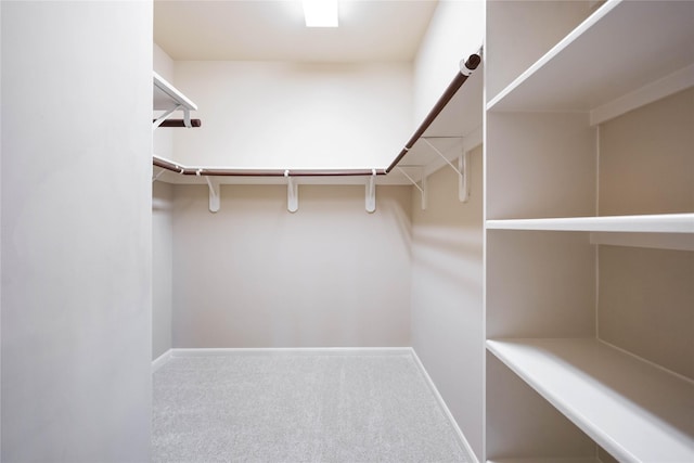 walk in closet with carpet