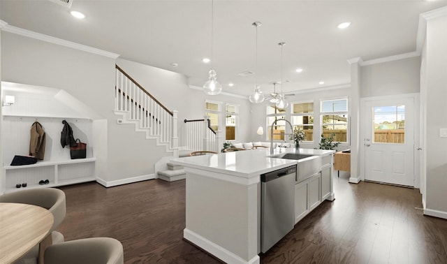 kitchen with a sink, stainless steel dishwasher, open floor plan, and dark wood finished floors