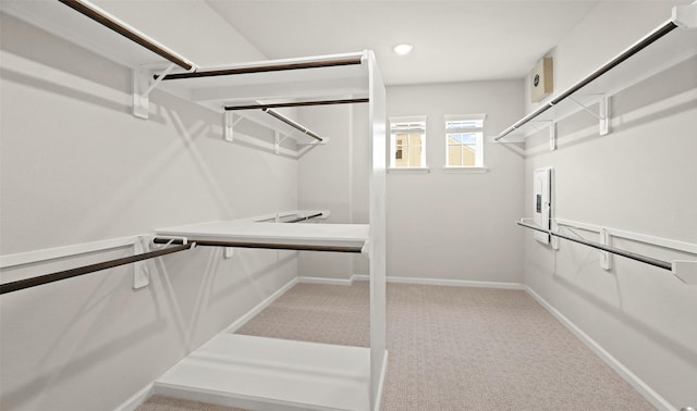 spacious closet featuring carpet flooring